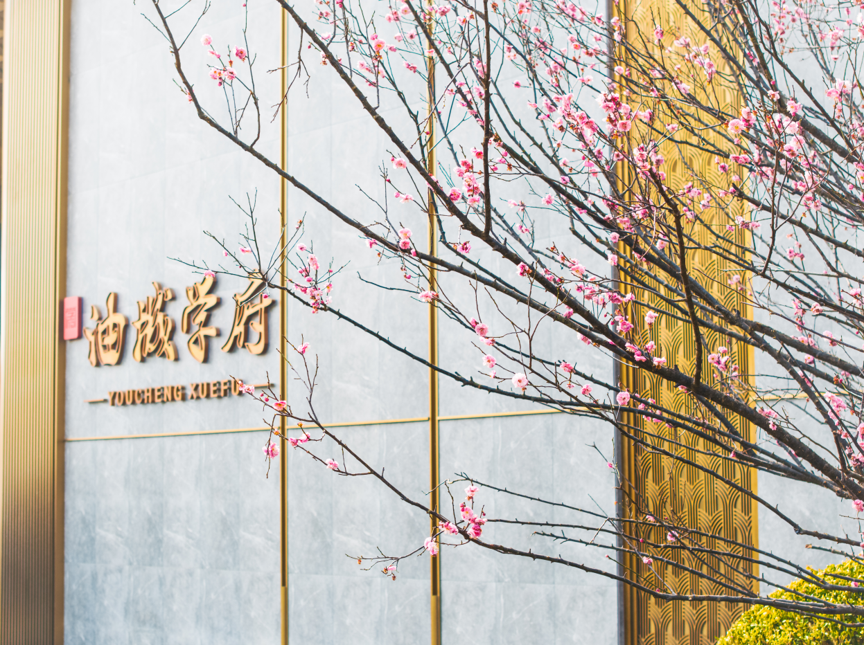 踏春起跑，渐入“家”境！油城学府又有新进展！